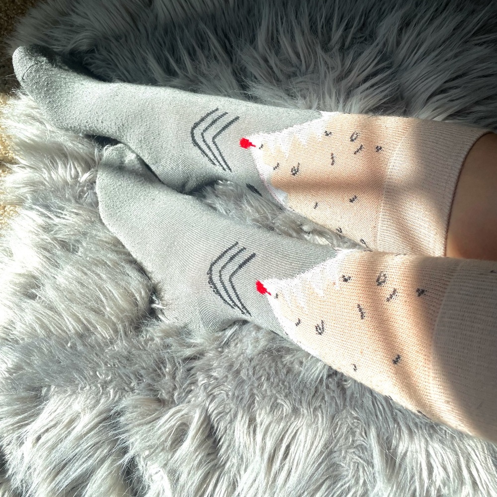 Shark Socks🦈